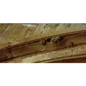 Click para ampliar. Pulsa en el nombre para ver la ficha. hombre malicioso